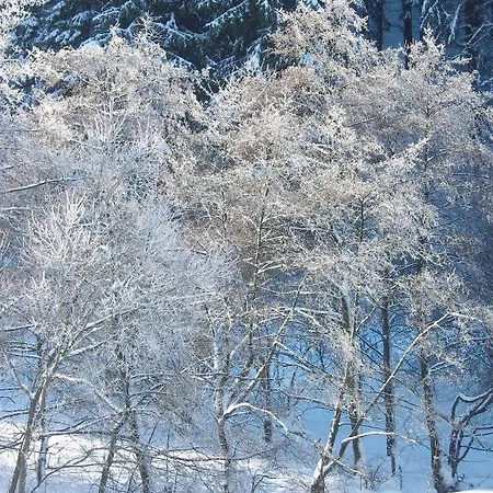 Apartamento Birgits *