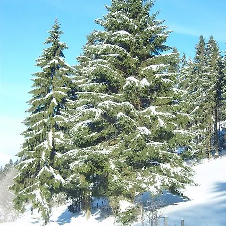 Birgits Willingen (Upland)