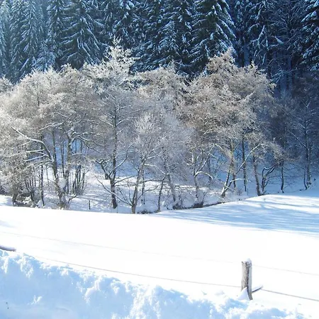 Apartamento Birgits *