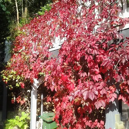 Birgits Willingen (Upland)