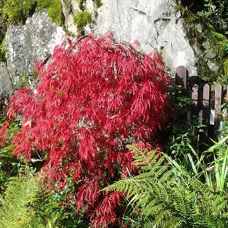 Apartamento Birgits *