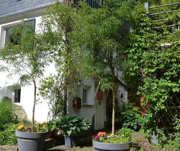 Birgits * Willingen (Upland)